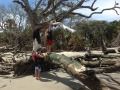 Hunting Island State park