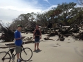 Hunting Island State park