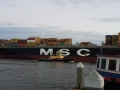 MSC Ship