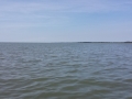 AssateagueBeach