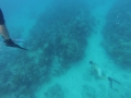 GOPR0674