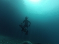 Turtle with Matt - Jupiter Inlet