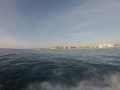 GOPR0604