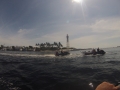 GOPR0615