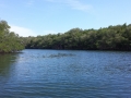Jew Creek