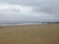 Virginia Beach (4)