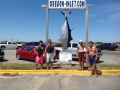 Oregon Inlet Marina Photo